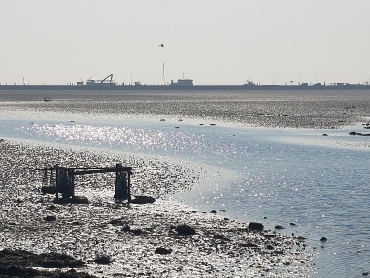 Ameland Tentenverhuur Nes  Dış mekan fotoğraf