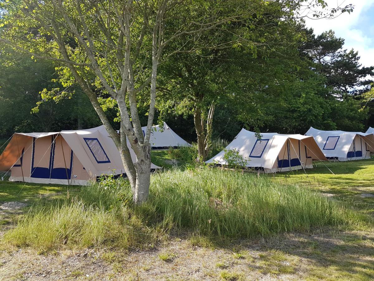 Ameland Tentenverhuur Nes  Dış mekan fotoğraf
